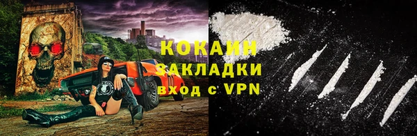 шишки Михайлов