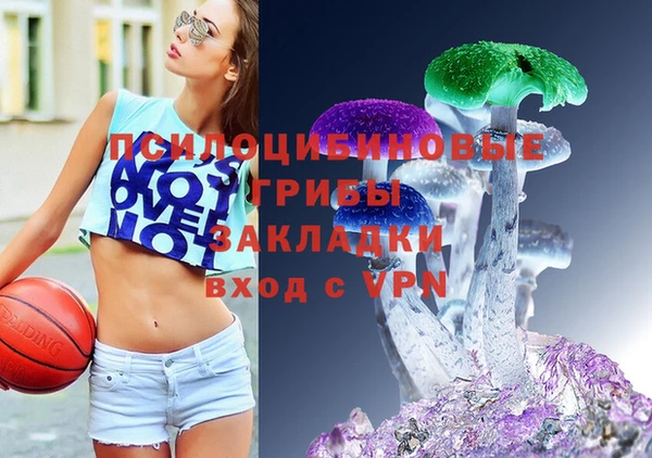 шишки Михайлов