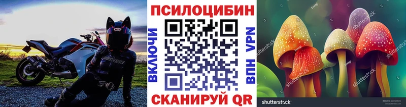 Псилоцибиновые грибы ЛСД  Купить закладки  Норильск 